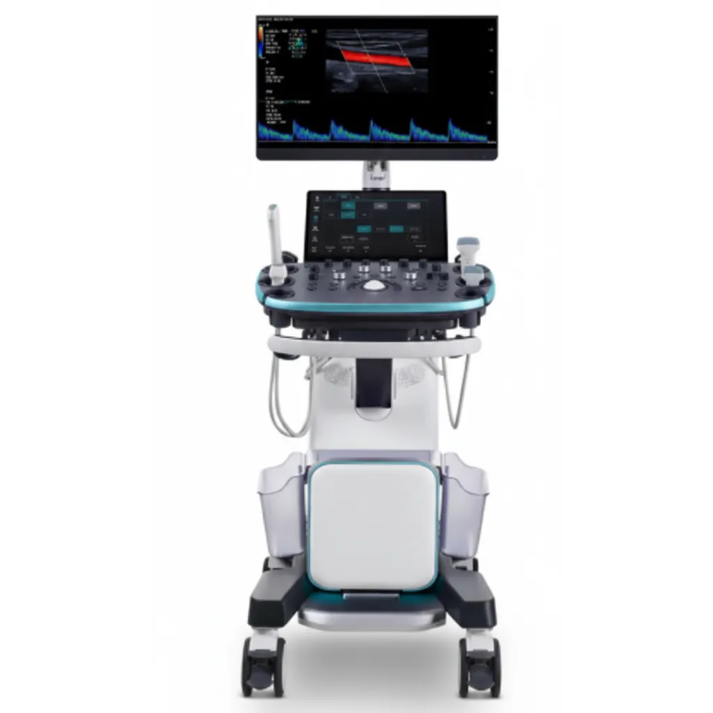 COLOR DOPPLER (3D & 4D)